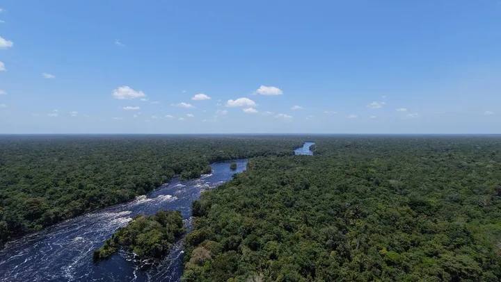 Vista aérea da floresta até o horizonte, com o rio serpenteando no meio