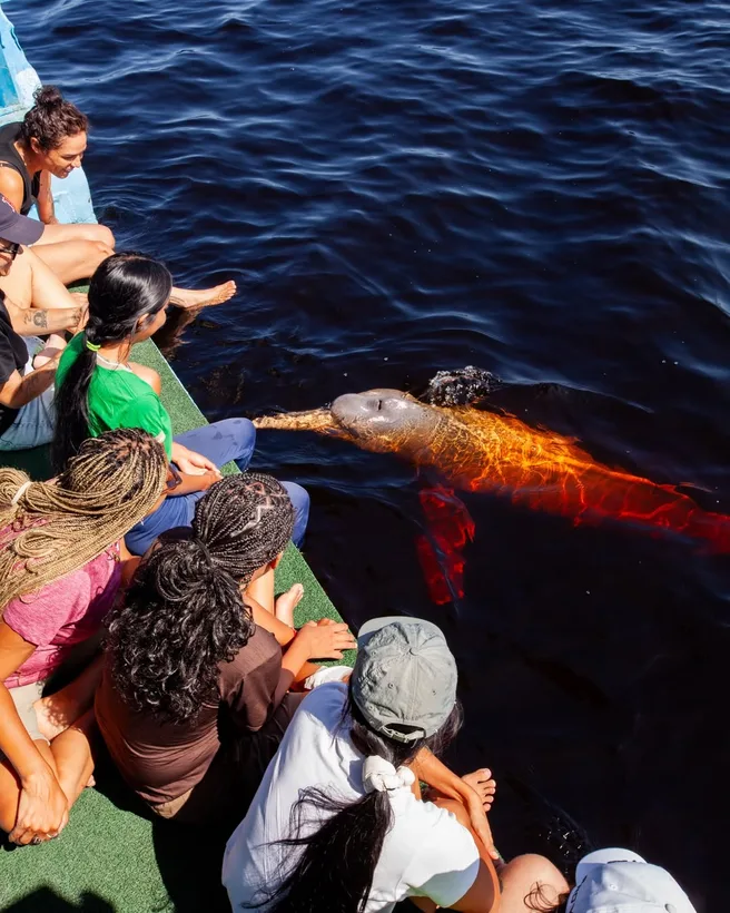 Pessoas debruçadas na borda do barco observando um boto cor de rosa na água