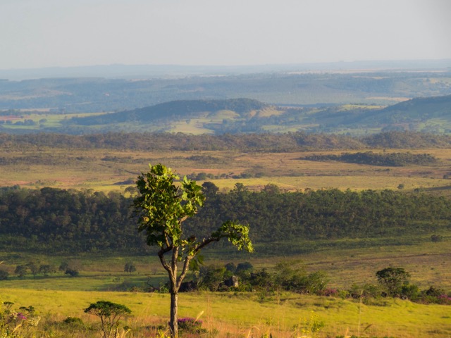 Serra dos Pireneus