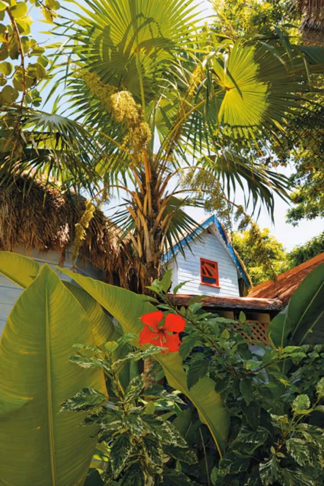 exterior-the-caves-jamaica-conde-nast-traveller-21nov14-zach-stovall_426x639