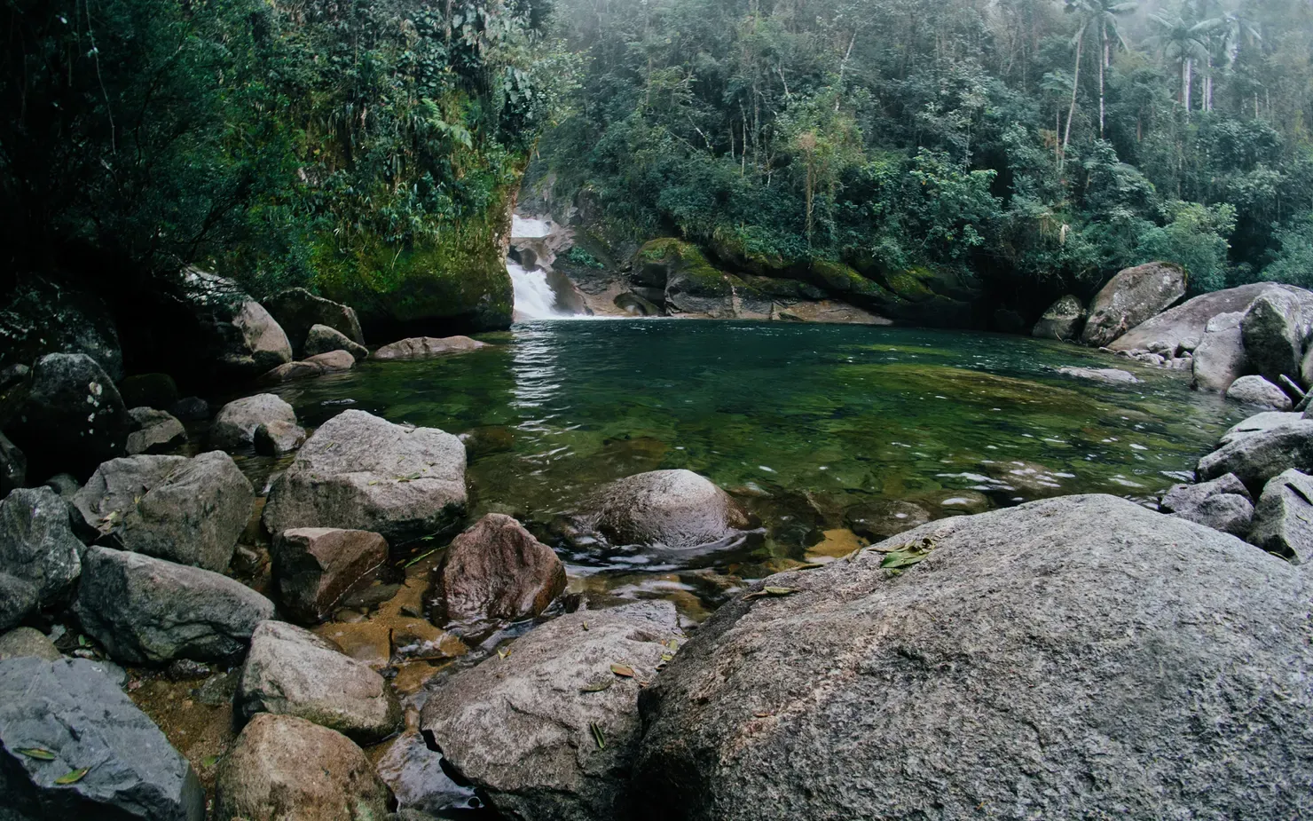 Parque Nacional do Itatiaia: o mais antigo do Brasil