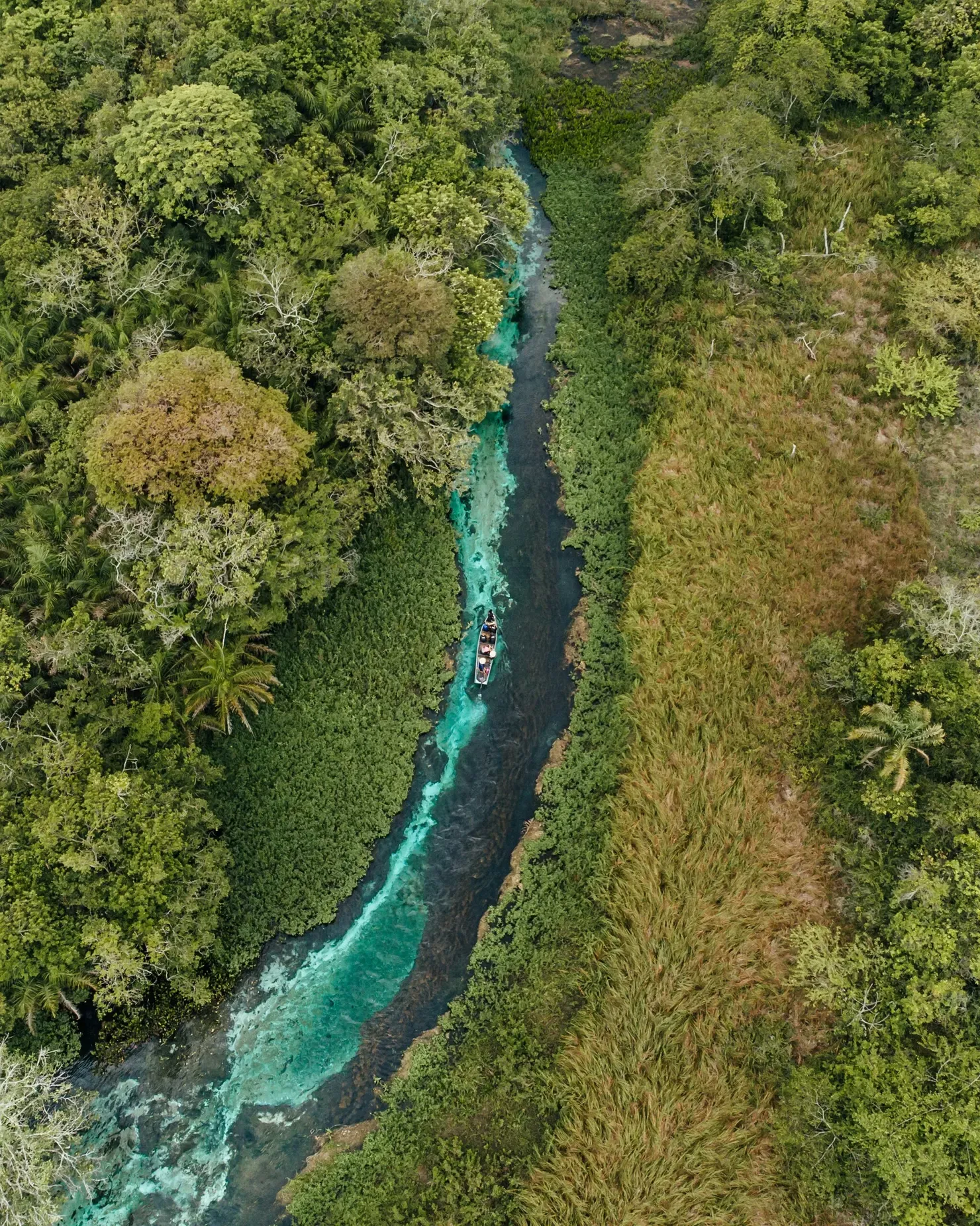 Rio Sucuri, Bonito, Mato Grosso do Sul
