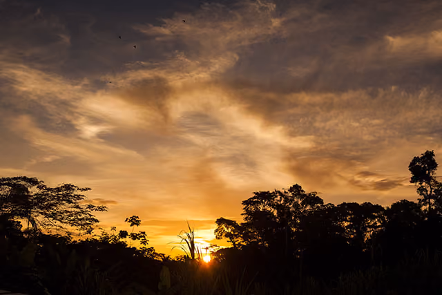 guto-lima-the-summer-hunter-amazonia-8