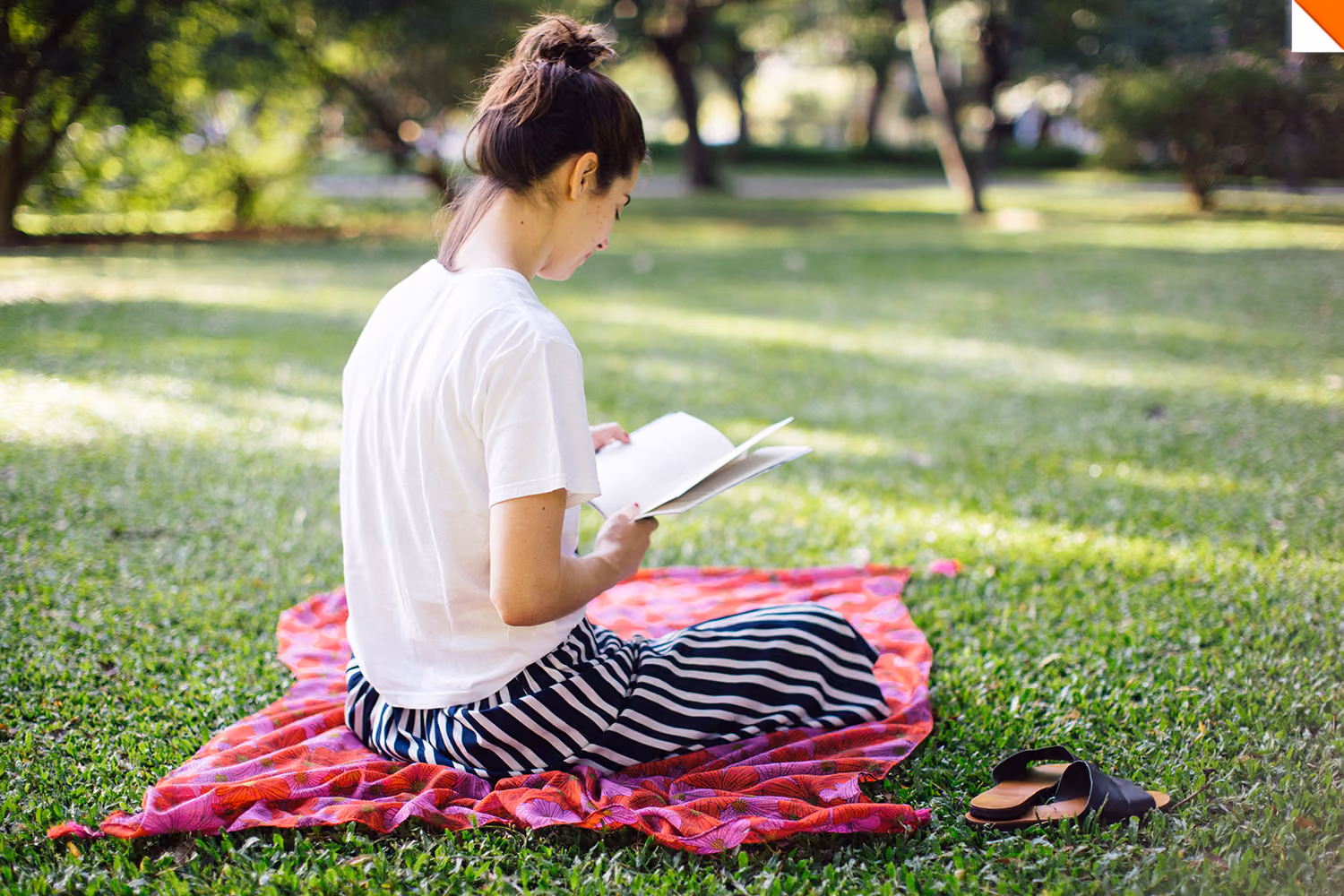 leitura-no-parque