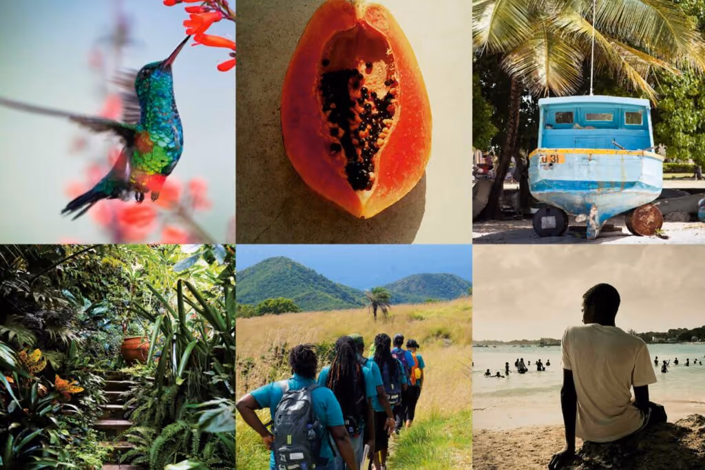 Viagens mais sustentáveis
