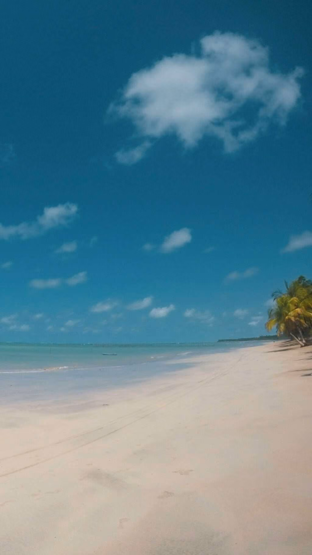 São Miguel dos Milagres, Alagoas