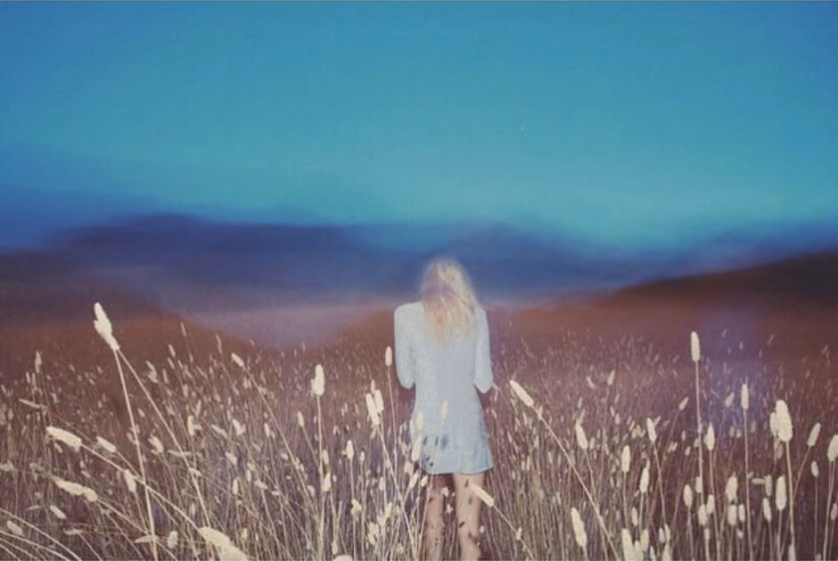 davis ayer