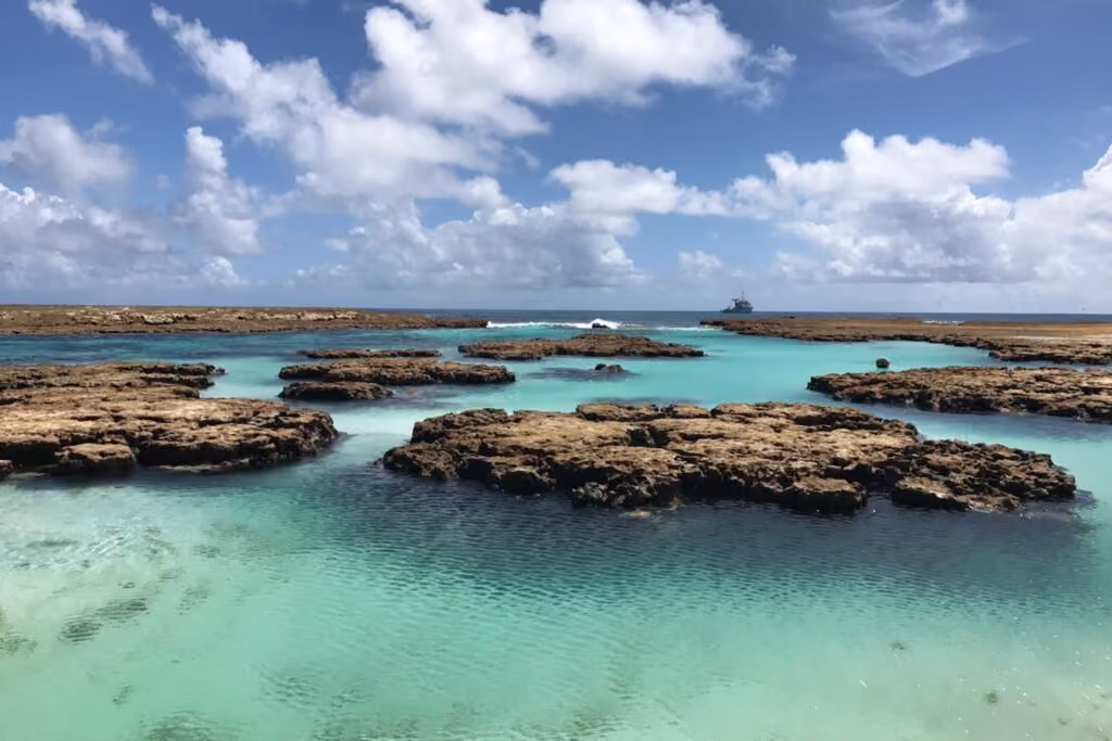 Atol das Rocas 