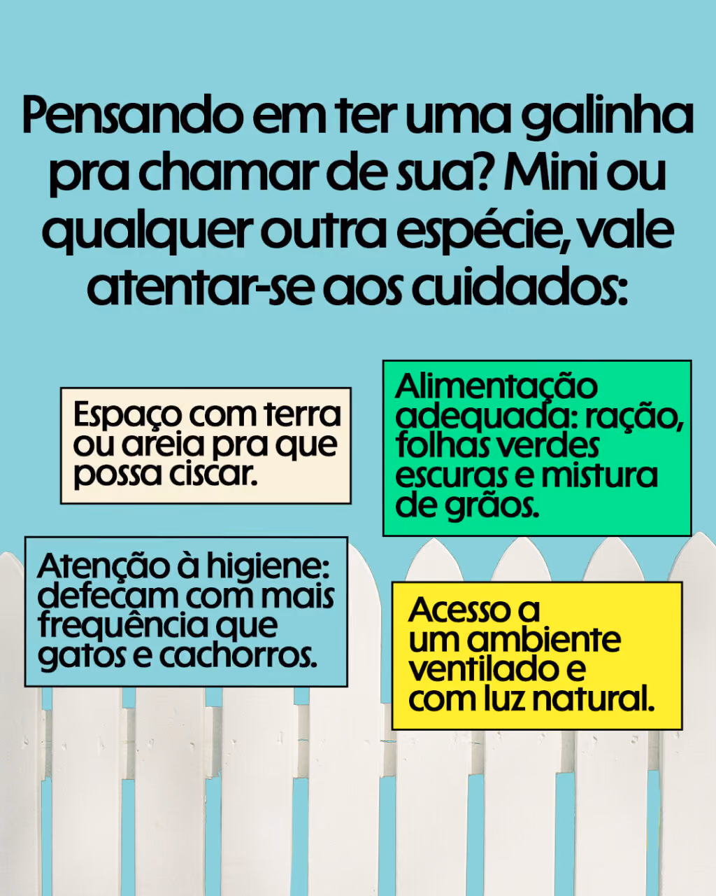 Pensando em ter uma galinha pra chamar de sua? Mini ou qualquer outra espécie, vale atentar-se aos cuidados:
. Espaço com terra ou areia pra que possa ciscar.
. Alimentação adequada: ração, folhas verdes escuras e mistura de grãos.
. Acesso a um ambiente ventilado e com luz natural.
. Atenção à higiene: defecam com mais frequência que gatos e cachorros.
