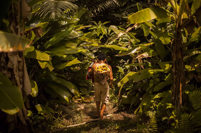 guto-lima-the-summer-hunter-amazonia-1