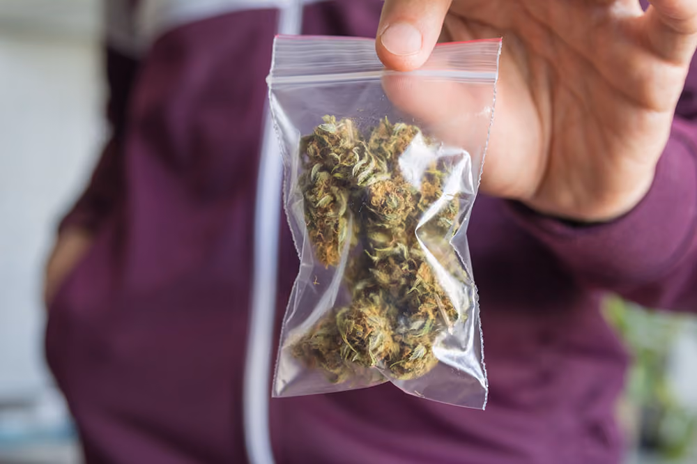 Man in purple hoodie trading marijuana showing buds in the zip package