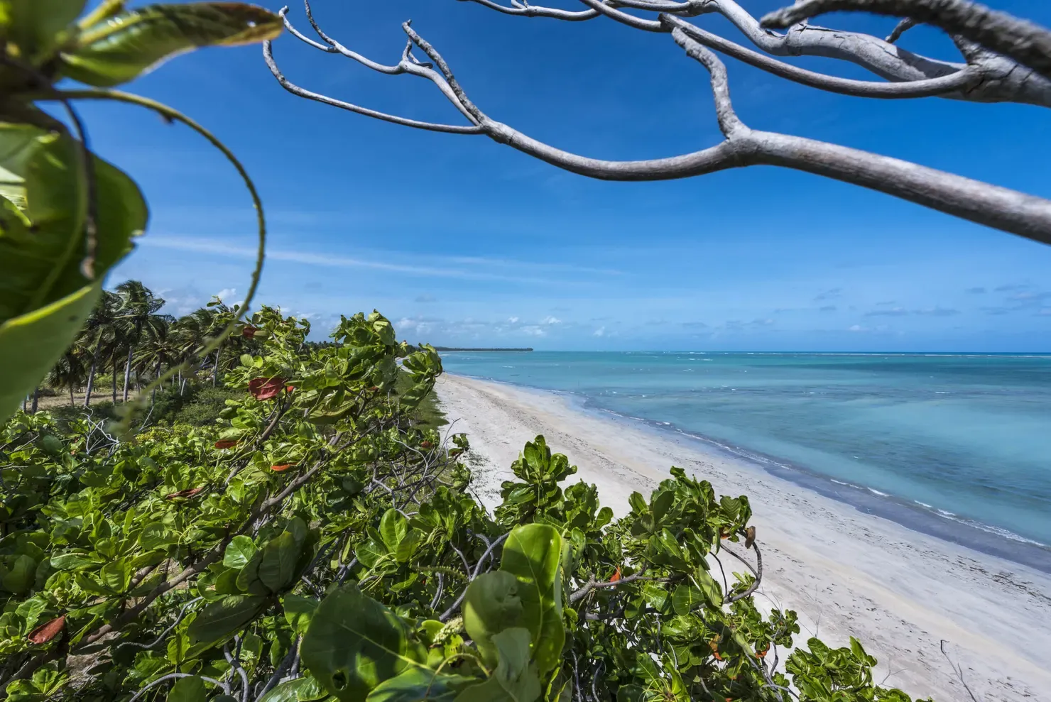 Praia do Patacho: refúgio alagoano a 130 km de Maceió