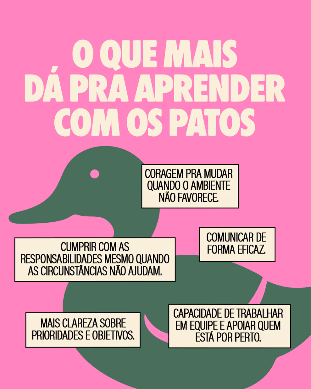 Saber um pouco de tudo: gostoso demais
O que mais dá pra aprender com os patos
. Coragem pra mudar quando o ambiente não favorece.
. Cumprir com as responsabilidades mesmo quando as circunstâncias não ajudam.
. Capacidade de trabalhar em equipe e apoiar quem está por perto.
. Comunicar de forma eficaz.
. Mais clareza sobre prioridades e objetivos.