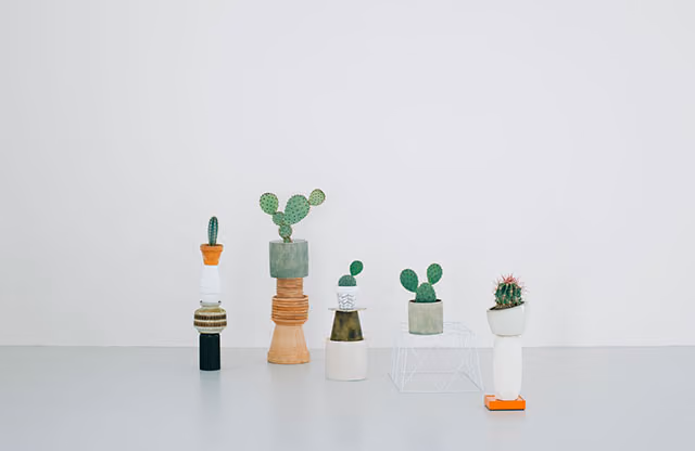 cactus_suculentas_norrebro_copenhagen_6