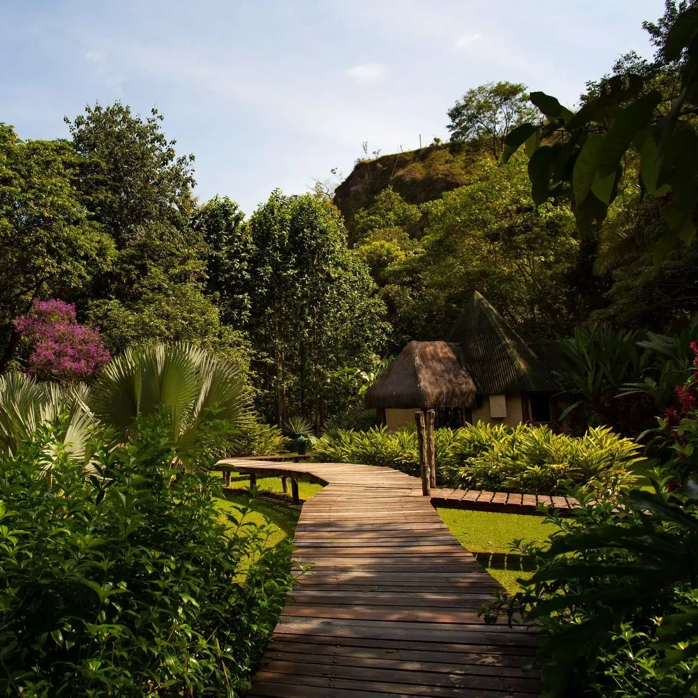 Fazenda Shanti