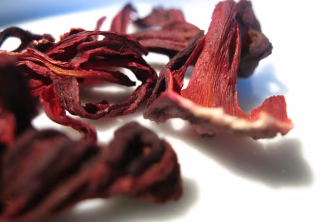 hibiscocompro