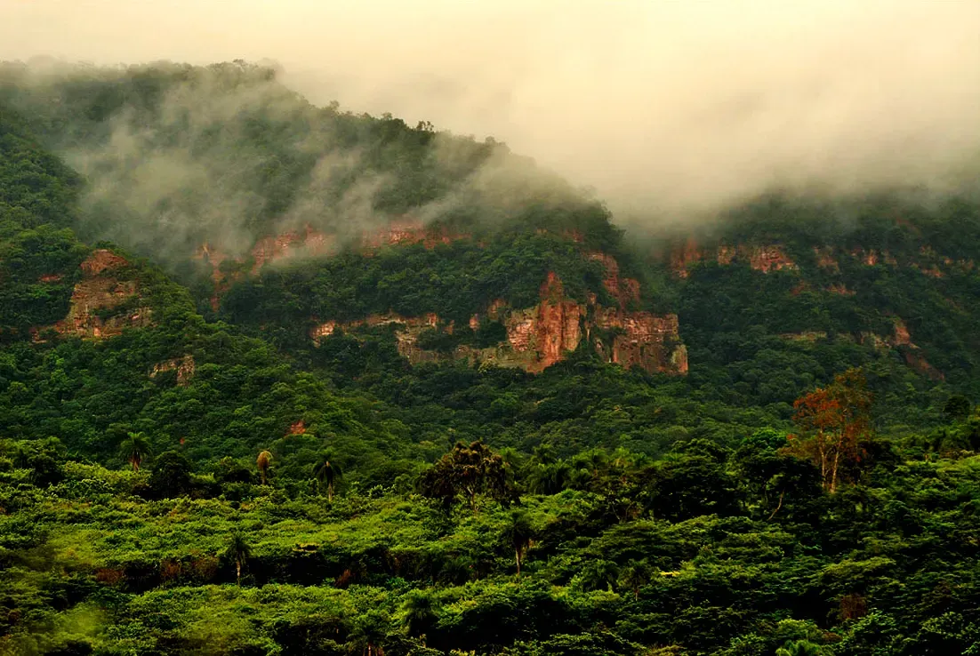 Chapada do Araripe: nascentes, cachoeiras e trilhas no encontro do Ceará, Pernambuco e Piauí