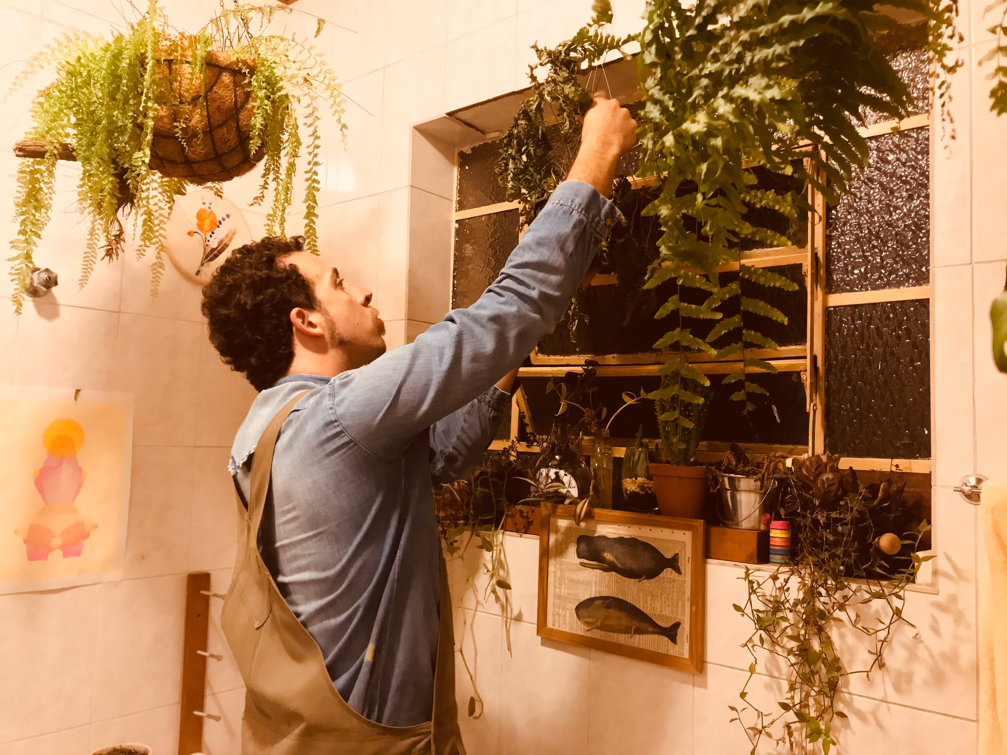 thesummerhunter_plantas_4