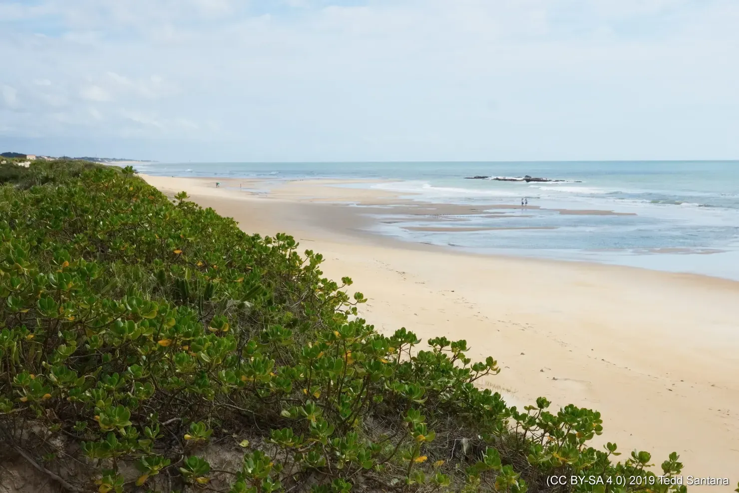 Dunas de Itaúnas: a 270 km de Vitória, praia e forró sem fim