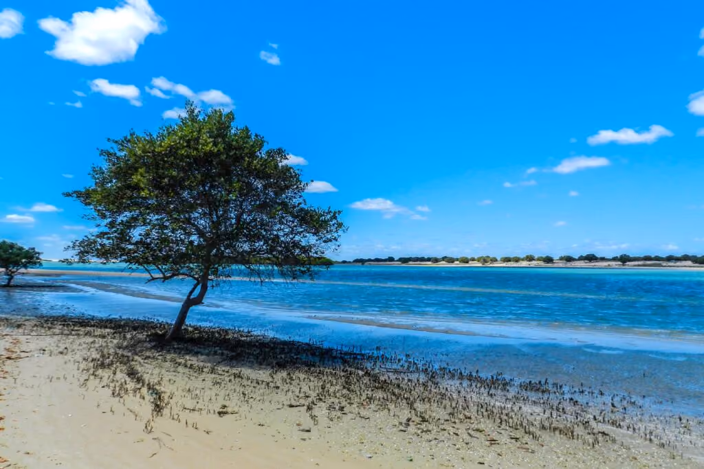 Praias do Rio Grande do Norte