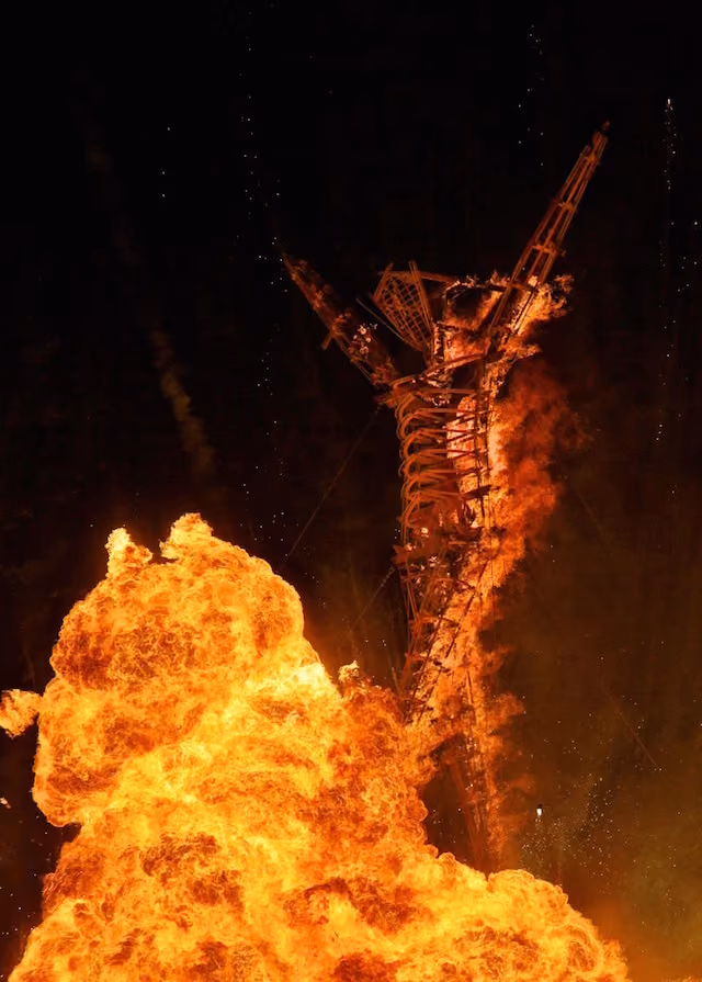 fo_nk_art_of_burning_man_302_05786_1507231139_id_948849