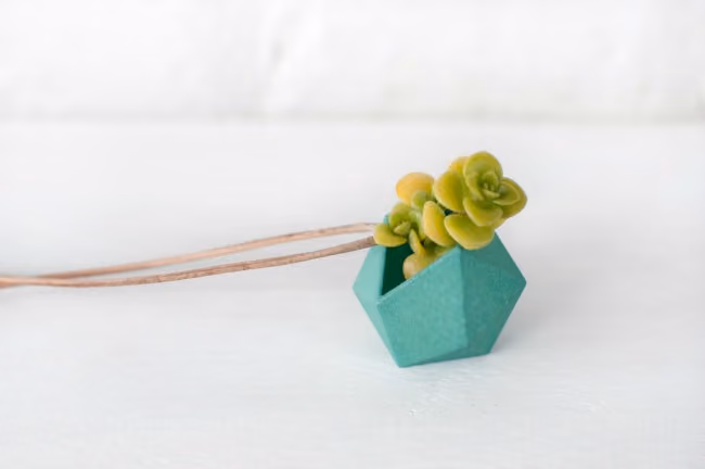 wearable planter
