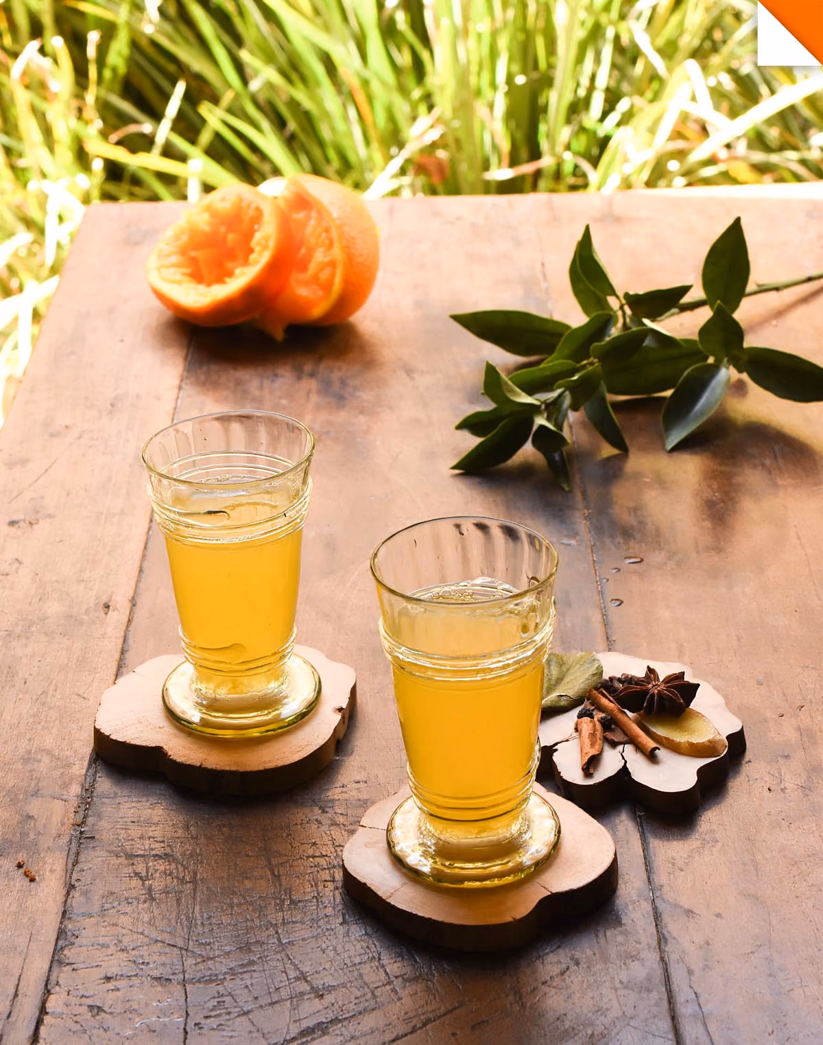 receitas-sucos-verao-cenoura-bronze-ana-bacellar