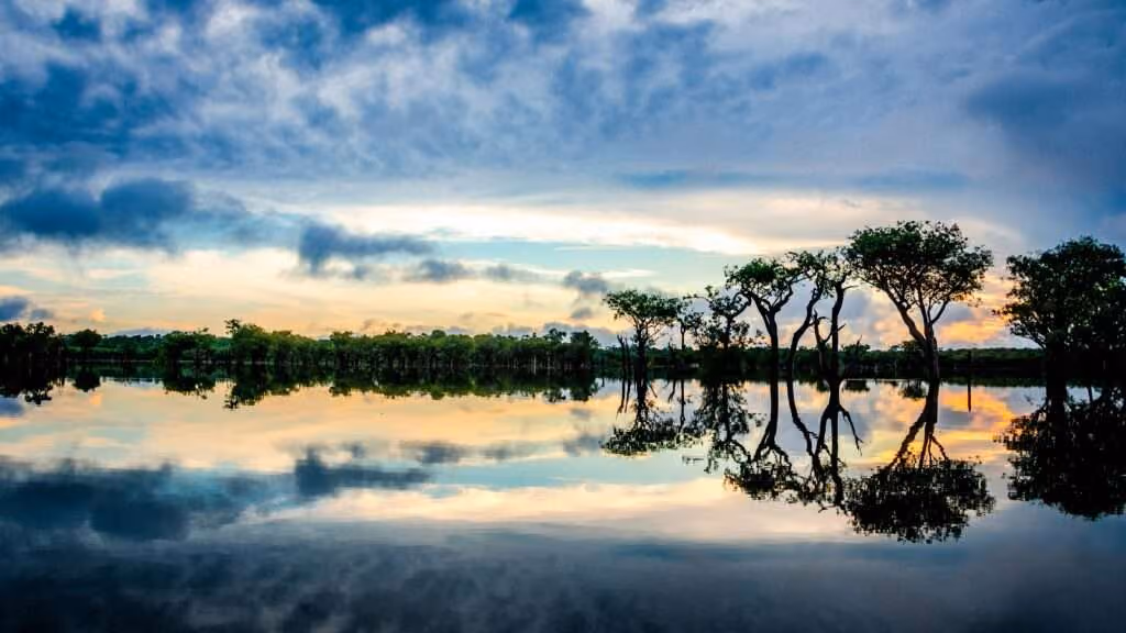 Amazônia