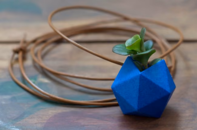 wearable planter